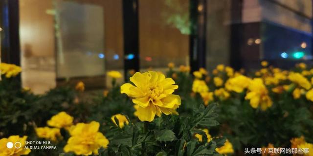 自动草稿 自动草稿
