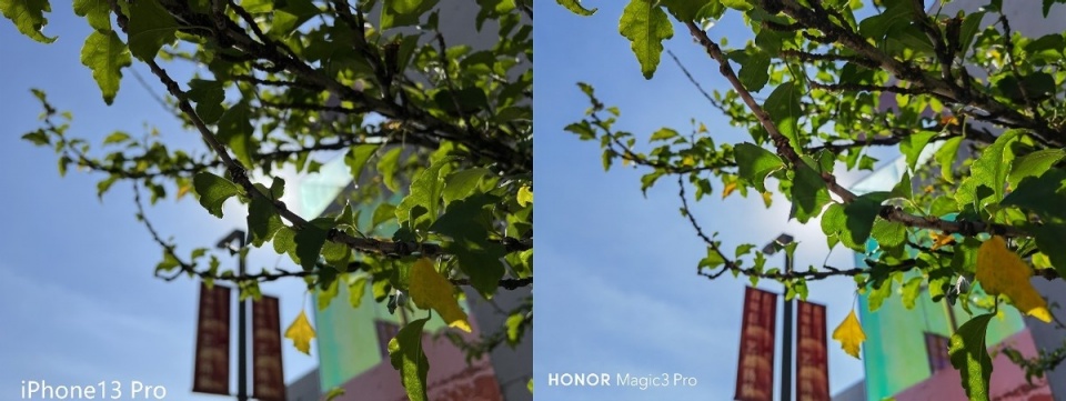 荣耀Magic3 Pro与iPhone13 Pro真香对决：谁的影像力更强？