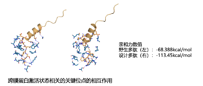 百度文心大模型再获国际顶刊认可！重磅生物计算成果登上Nature子刊