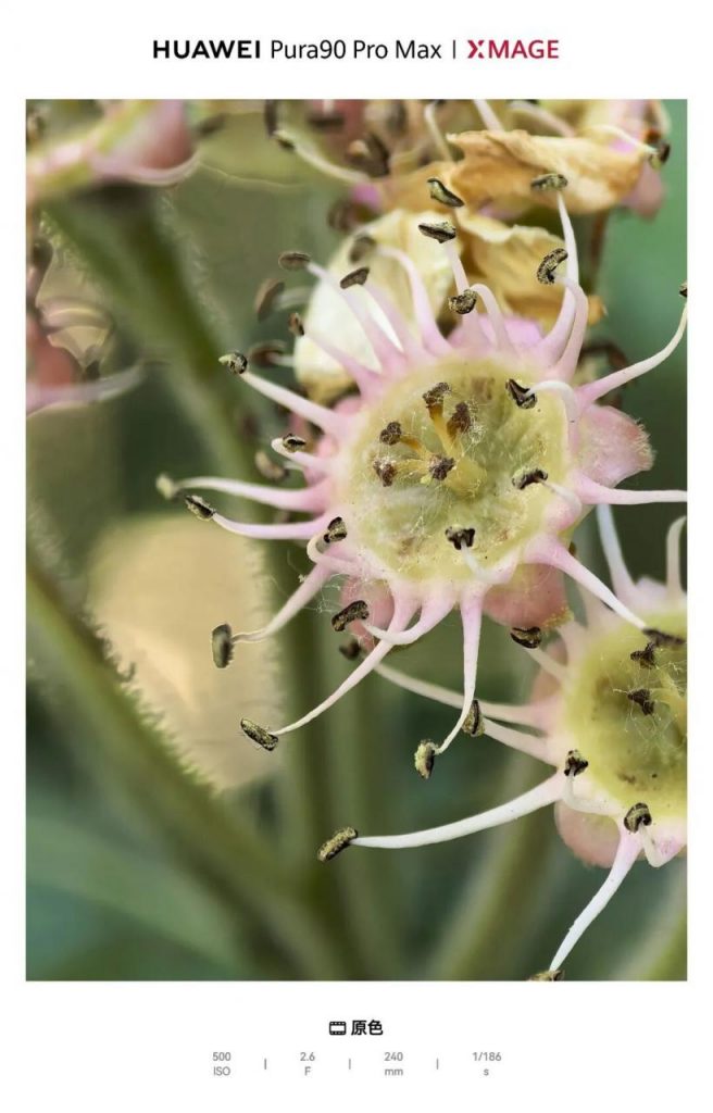 华为Pura90 Pro Max买前必看：最详细说明书，能说不能说，全都有！